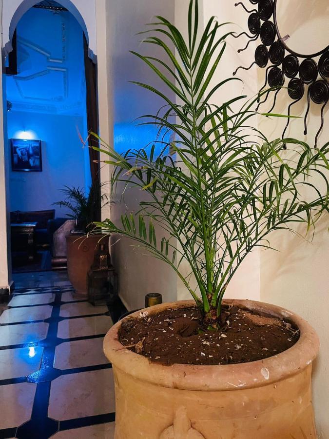 Riad Ms Holidays Terrasse Privatise Marrakech Marrakesh Luaran gambar