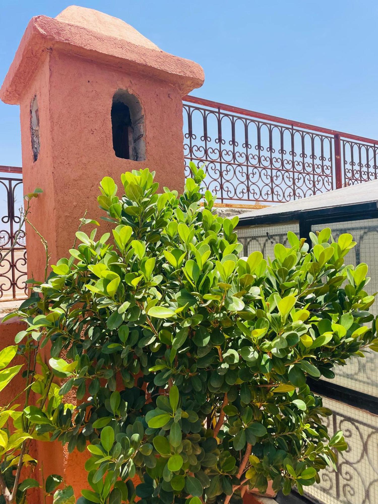 Riad Ms Holidays Terrasse Privatise Marrakech Marrakesh Luaran gambar